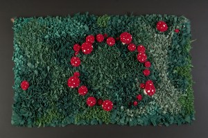 Fairyring 2 2011 mcewan