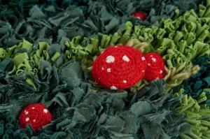 Fairyring1 2010 mcewan