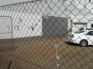 kelly-marie mcewan creative tanks 2013 crochet flowers vines install