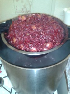 Apples cherry plums elderberry blackberry pulp