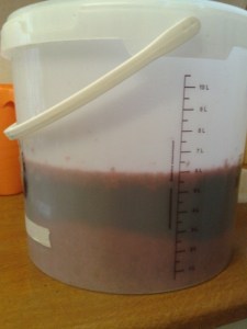 Fermenting elderberry wine