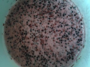 Elderberry wine DIY in progress