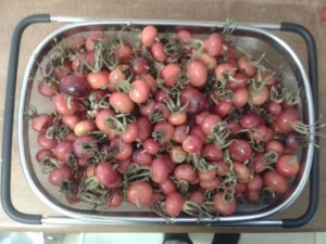 rosehips for wine making