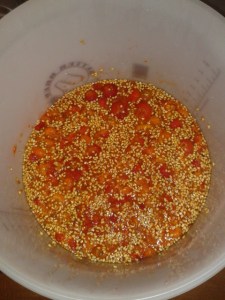 Pulped rosehip wine must