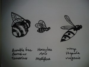 Honeybee wasp bumblebee