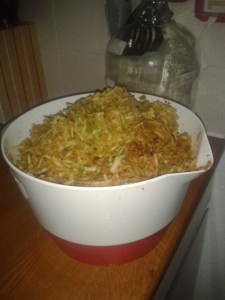 crab apples ACV fermenting fruit