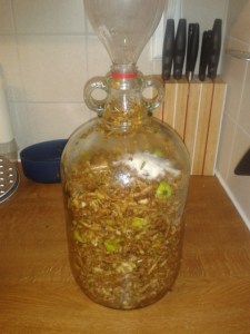 Apple cider vinegar funnel homemade demijohn