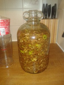 cider vinegar fruit DIY