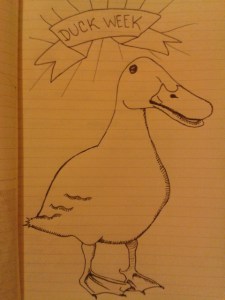 drawing project daily duck drawings ink sketch