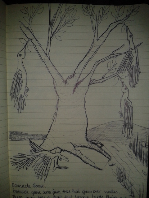 The Medieval Bestiary series; adrawingaday project&nbsp;eleven