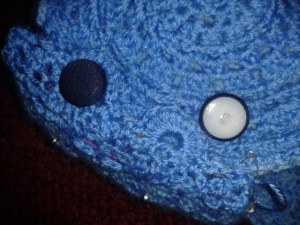 fitting button closure ukulele crocheted case