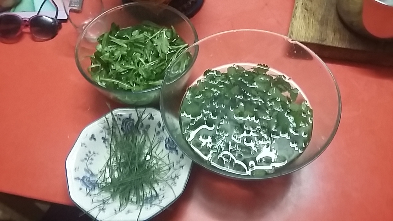 FORAGING Basque Country, chives, nettles, dandelions, lambs lettuce