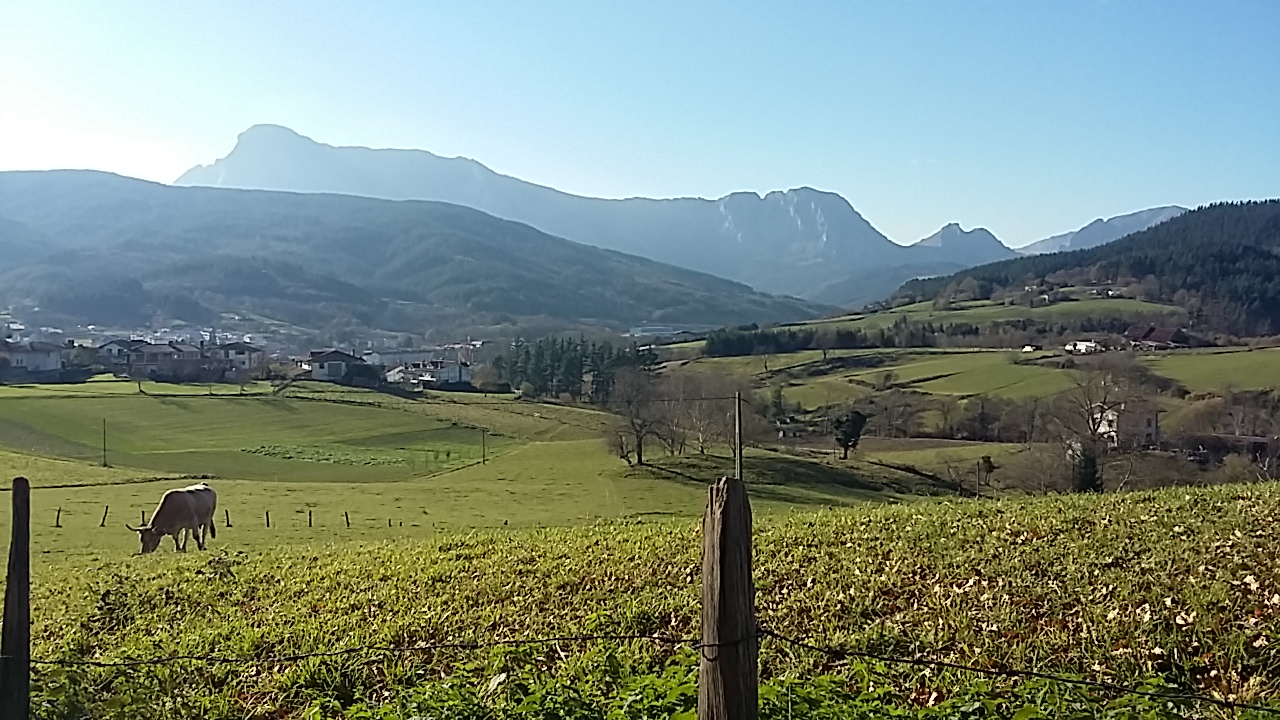 View to Argiñeta Ellorrio Basque Country