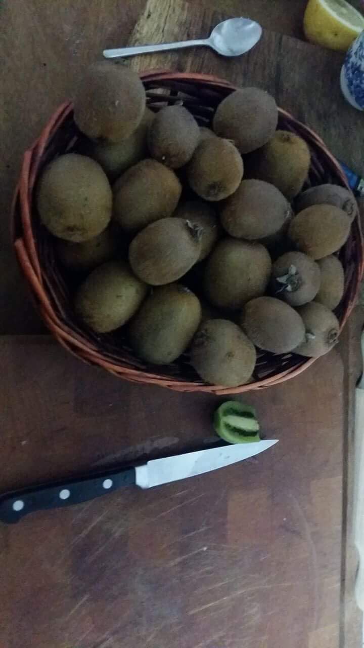 Kiwifruit pie home baking self sufficiency 