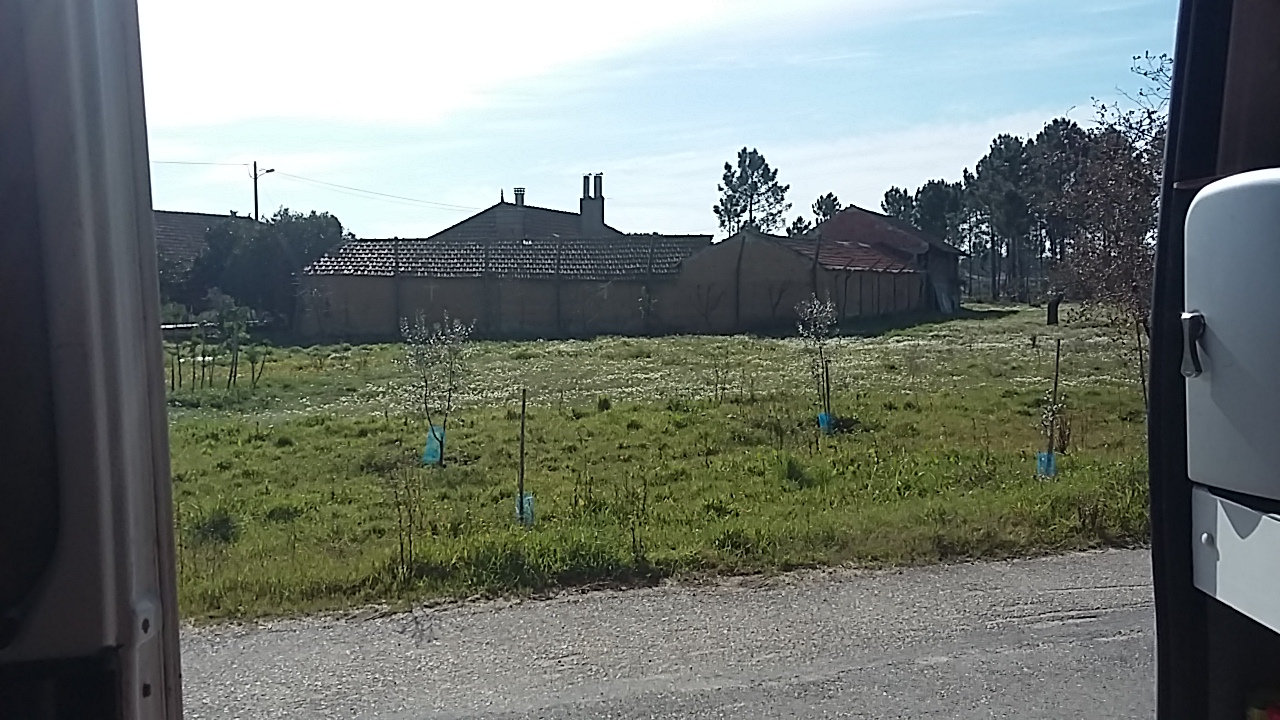 Travelling vanlife boondocking helpx Europe 