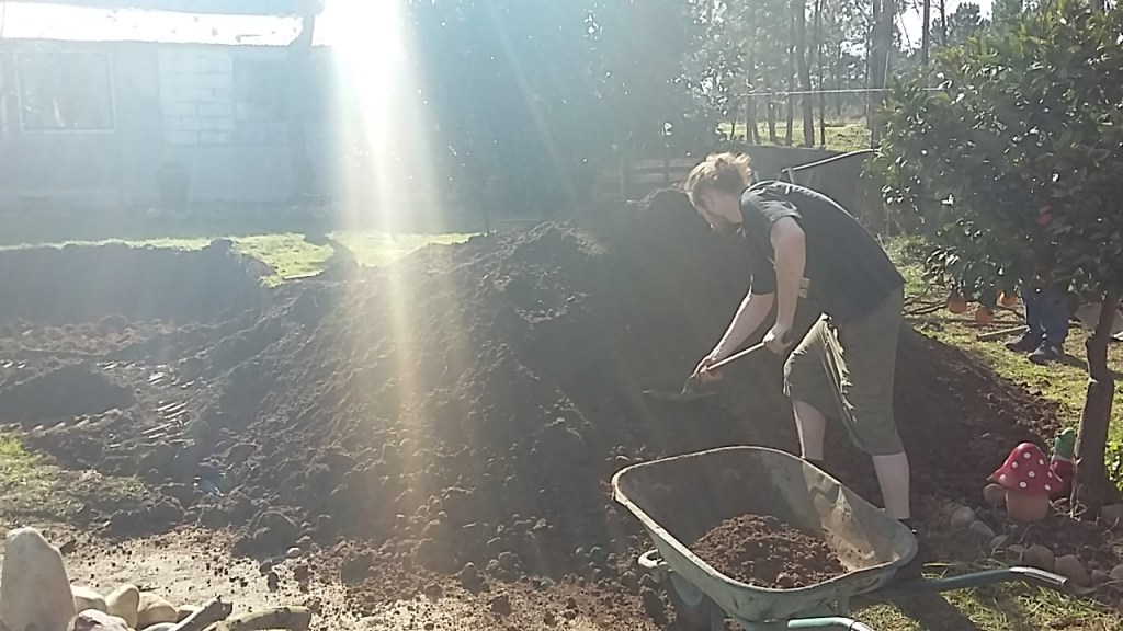 Digging, sifting, pruning in&nbsp;Portugal