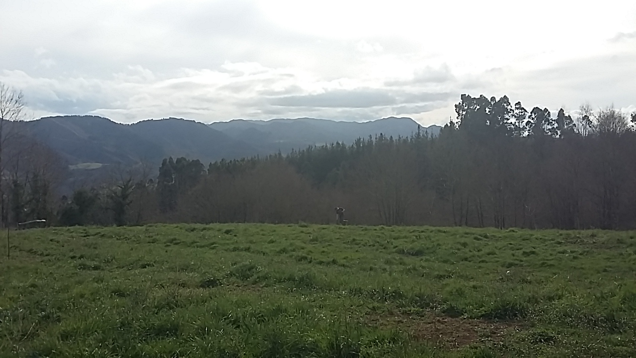 Northern Spanish countryside workaway volunteering project