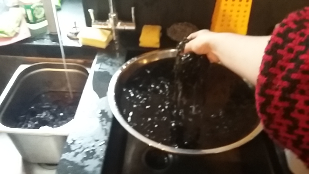 Cornwall cookery school seaweed wash helpx travel