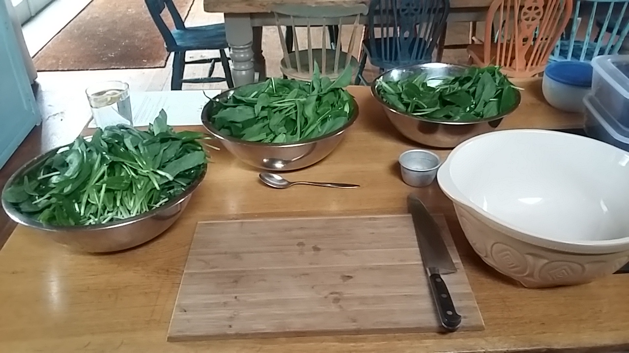 Fermenting wild garlic recipe self sufficiency