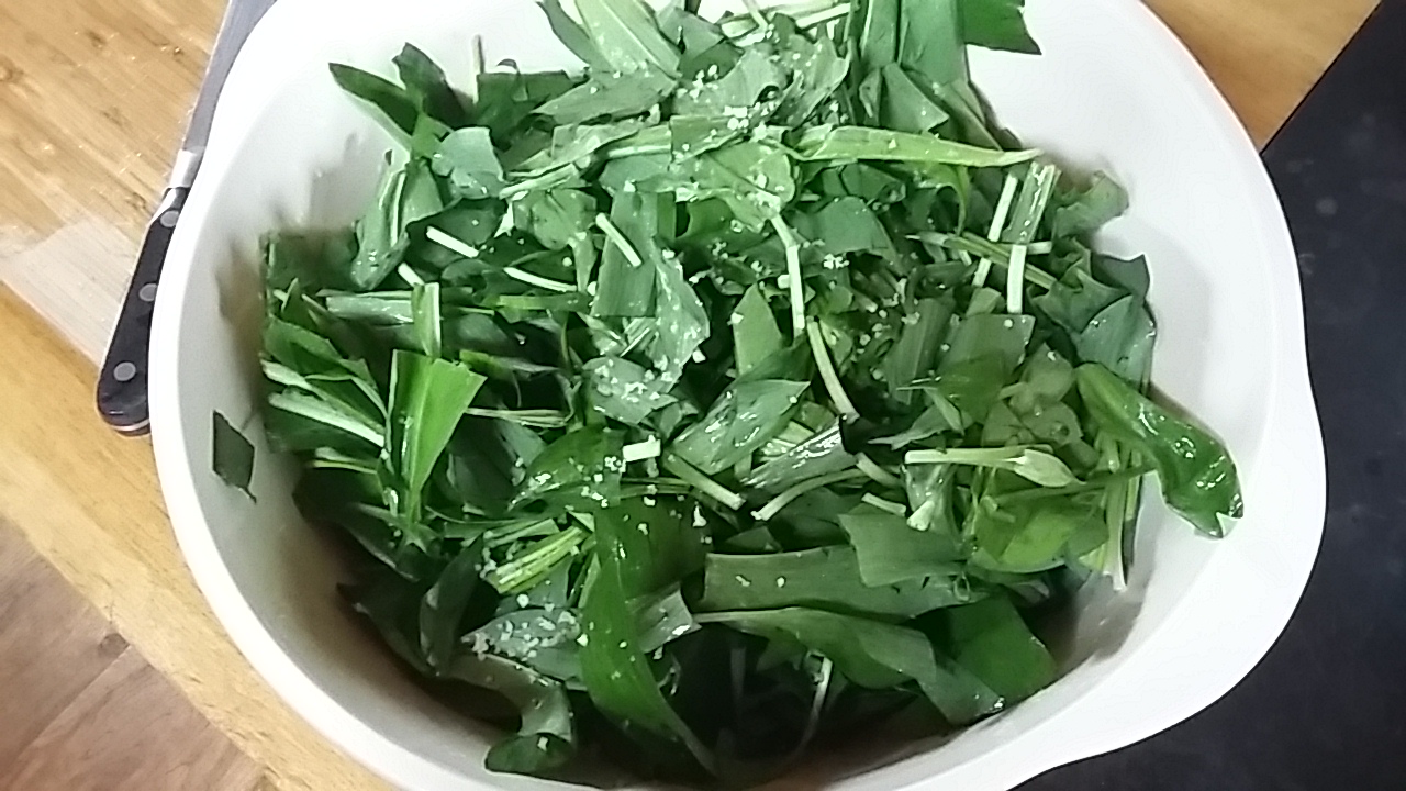 Sea salt sauerkraut Fat Hen Cornwall foraging 