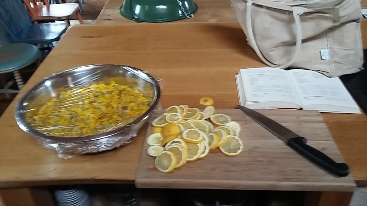 Self sufficiency gorse flowers syrup lemon