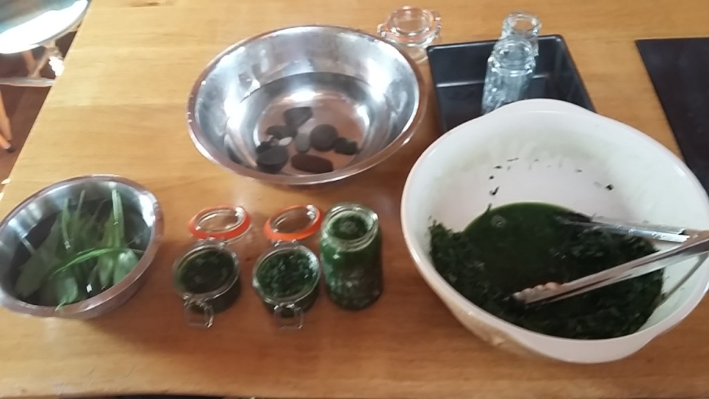 Fermenting ramsoms and tri-cornered leeks 