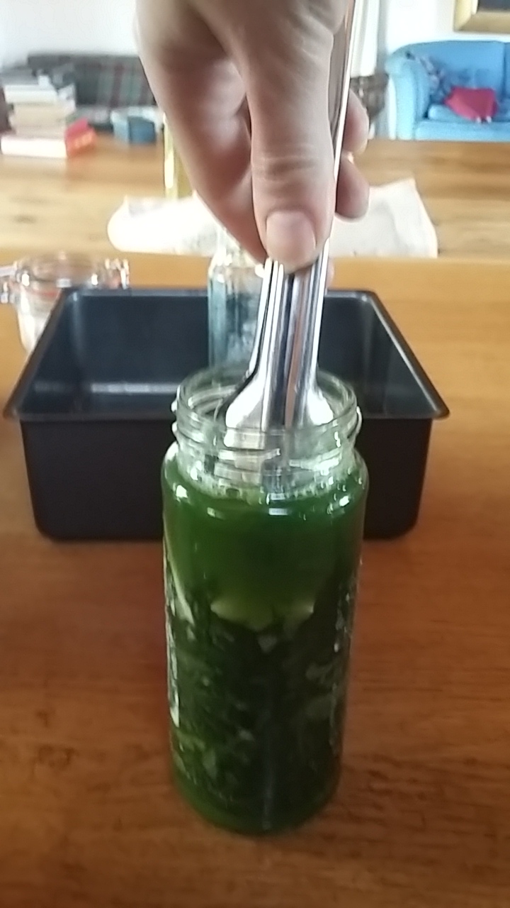 Preserving fermenting cooking three cornered leek