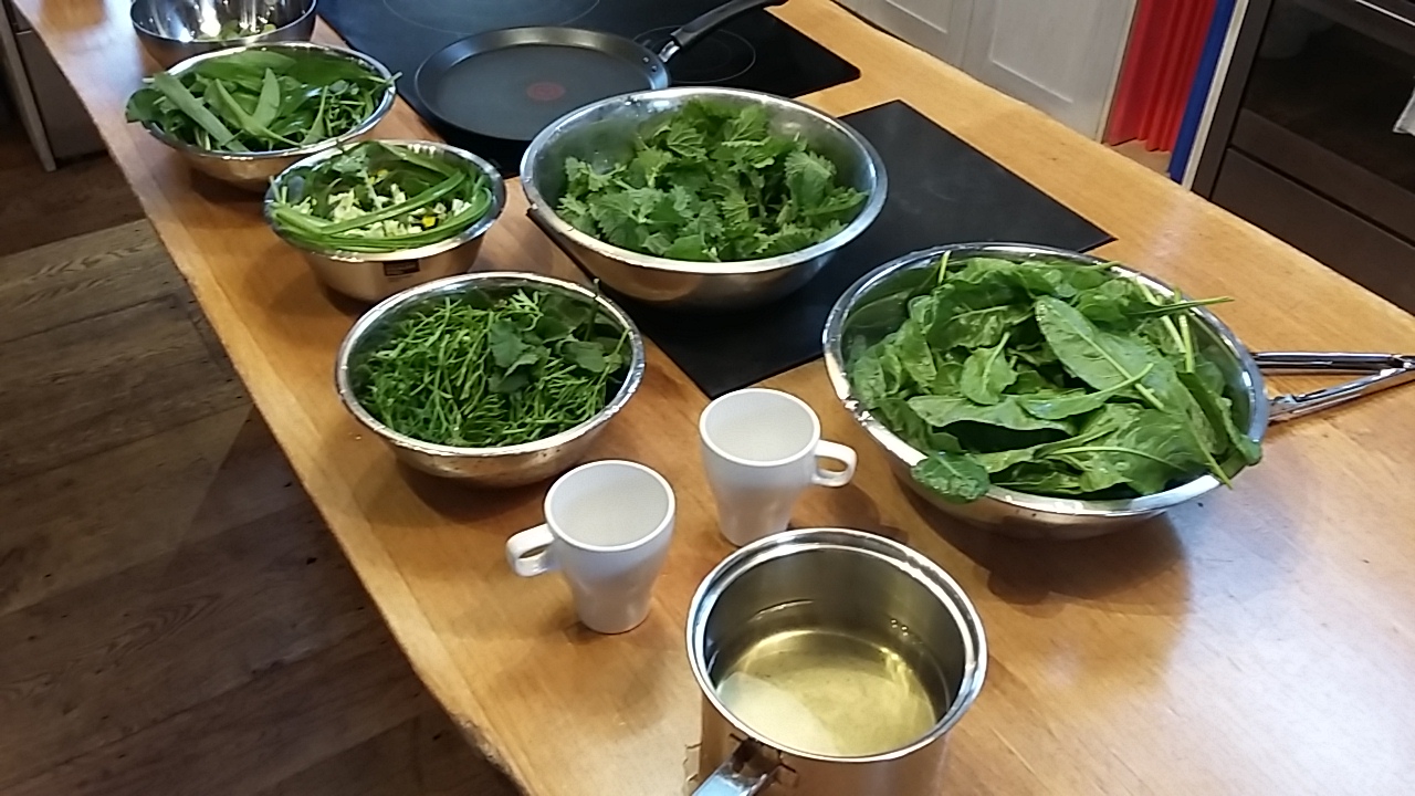 Cookery school wild food foraging workshop 
