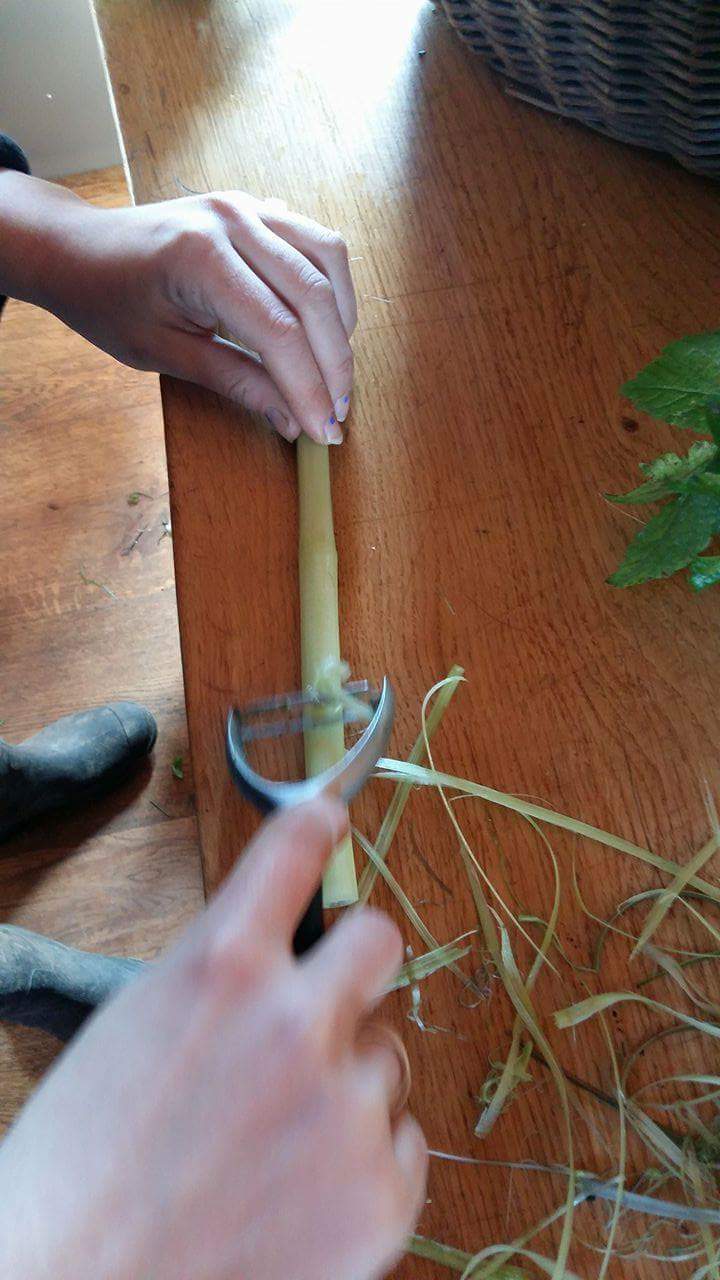 How to peel Alexanders for eating pickle recipe Self sufficiency spring preserves how to pickle Alexanders